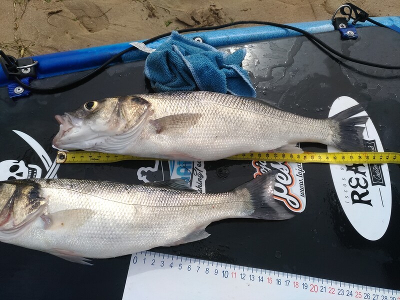 Fish Measure Picture